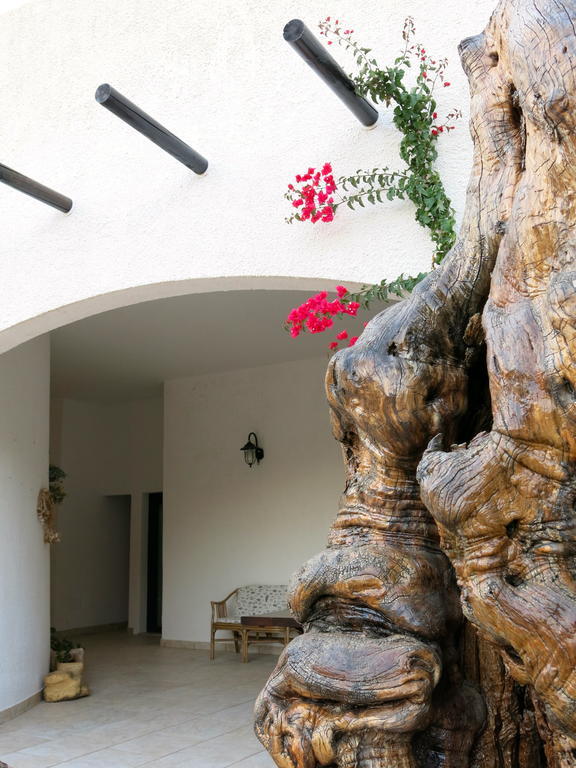 Agriturismo Tenuta Del Morige Galatone Rom bilde